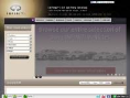 infinitibr.com