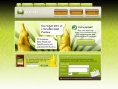 www.parlino.se