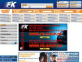 www.fk-automotive.de