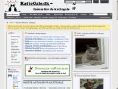www.kattegale.dk