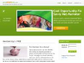www.sendmoreinfo.com