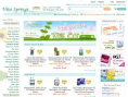 www.vitasprings.com