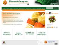 www.bloemistengroep.nl