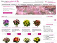 www.droomboeket.nl