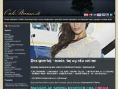www.oakstream.dk