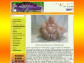 www.earthtonescornwall.co.uk