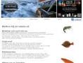 www.mrlobster.nl