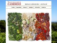 www.candido.dk