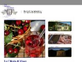 www.agrsantandrea.it