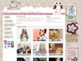 www.lisen.dk