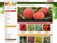 www.mailordertrees.co.uk