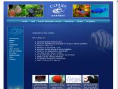 www.cichlidecentret.dk