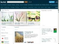 www.scribd.com