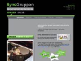 synsgruppen.dk