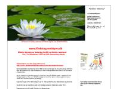 www.debitor-sletning.dk
