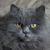 Mathilde