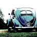 rusted nuts