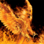 Soul Phoenix