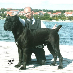 Susen von Warburg