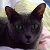 Marie