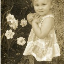 Teresa Stallings