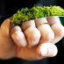 Andy Max Jensen