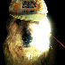 henrik