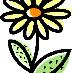 SolvejDS