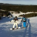 Autokøler