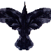 profile image of Andy