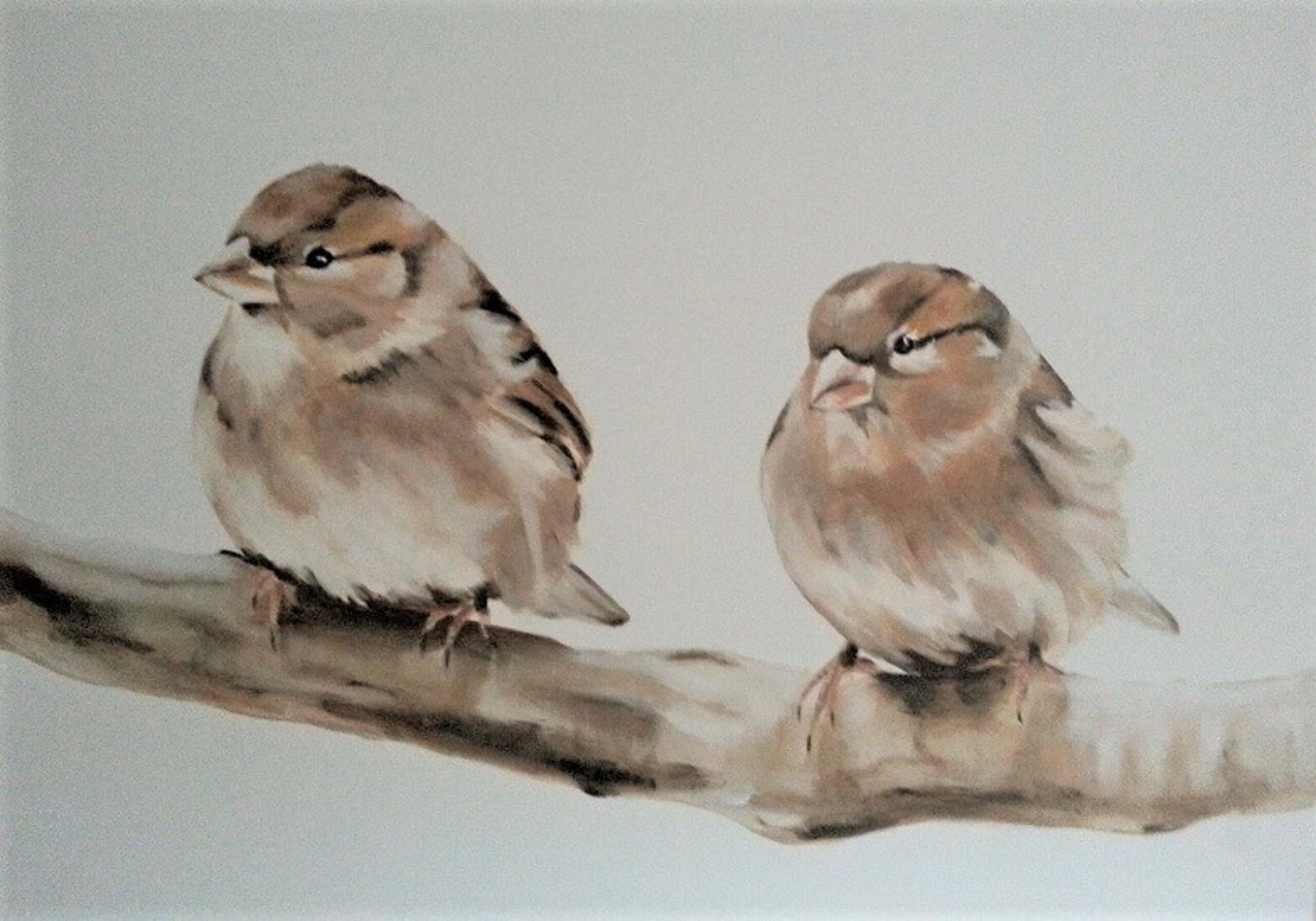 vogels