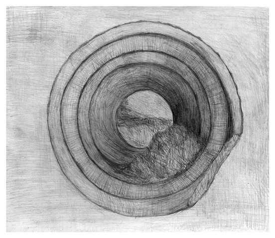studie 4