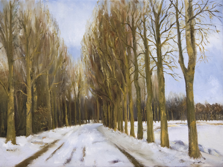 Besneeuwde weg