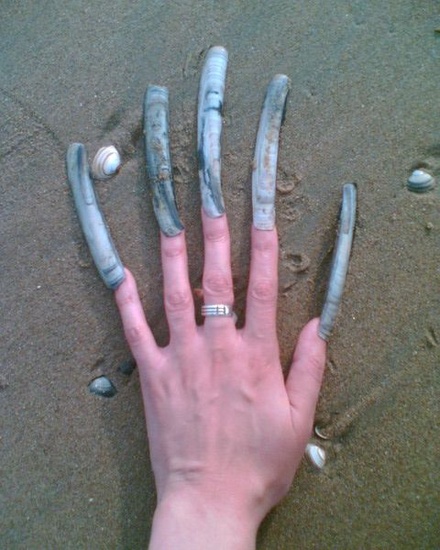 Nagels