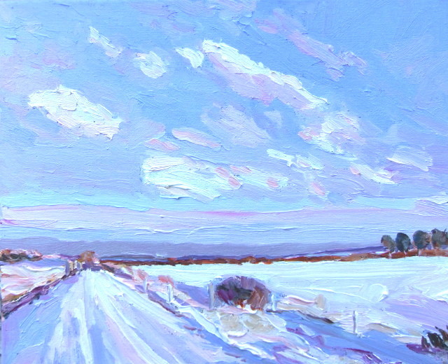 Sneeuwlandschap Klein Amerika Groesbeek 367