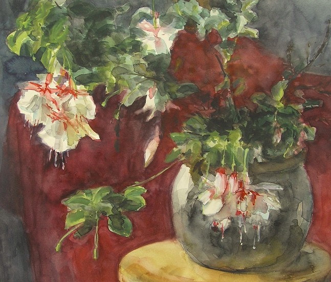 bellenplant