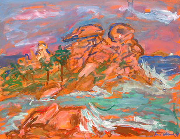 view on the sea-rocks near Ploumanac'h, Brittany, France