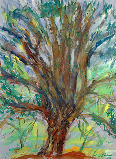 Big pine tree in the dunes of IKoningshof, picture on paper
