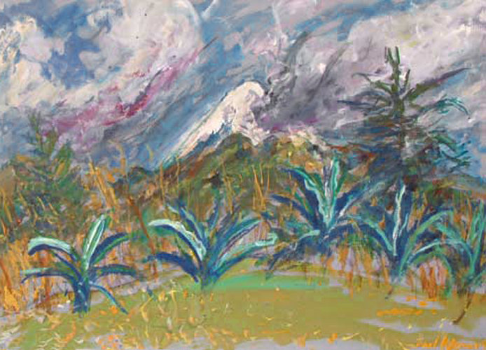 bomen in landschap rondom vulkaan de Popocatépetl in Mexico, schilderij op papier