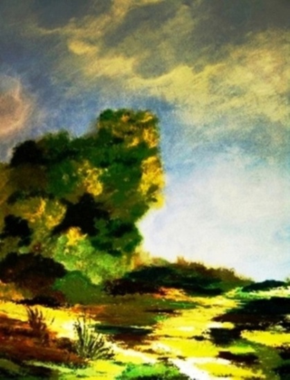 Nature / Hoge Veluwe. / Summersale!