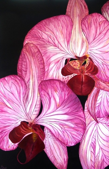 Orchid