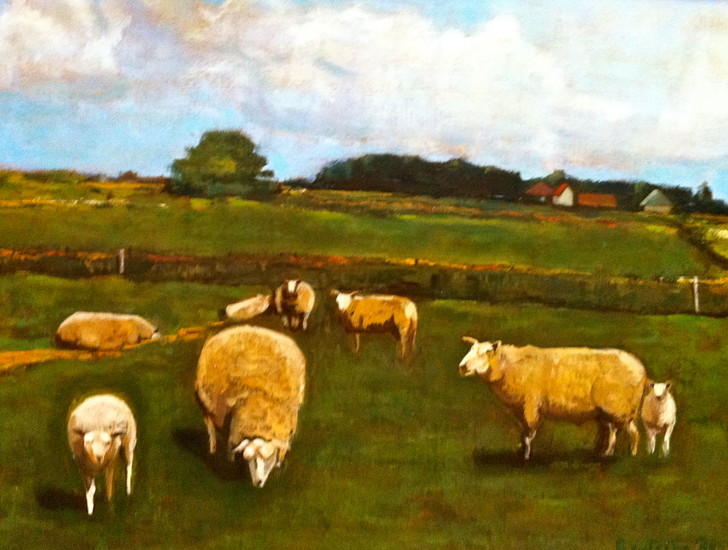 'Schapen op Texel'