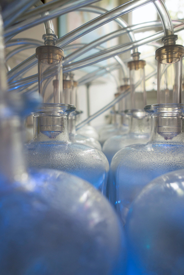 Inject the light in these bottles (detail )