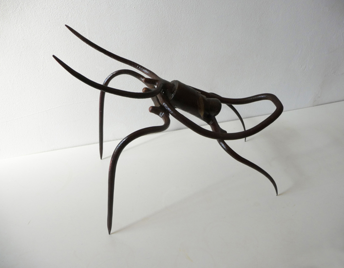 Insect