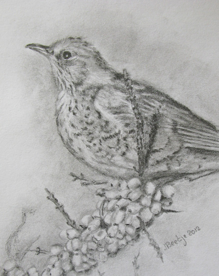 Kramsvogel