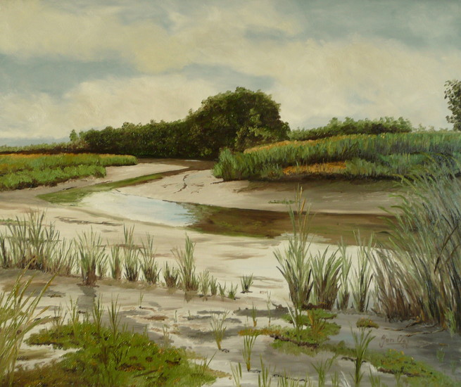 Laagwater in de Biesbosch