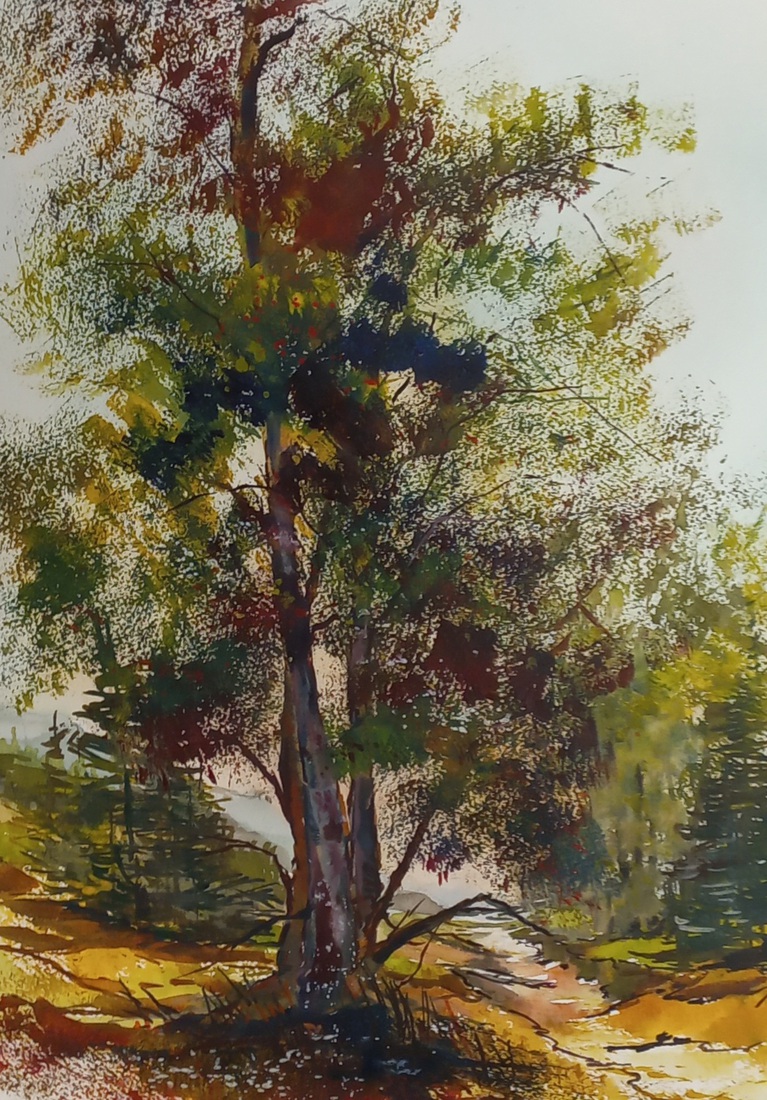 Kleurboom