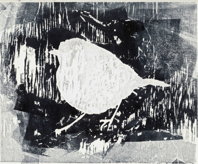 Roodborst(5)
