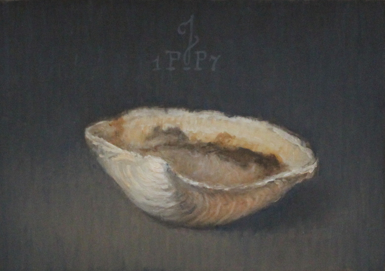 Schelp in avondlicht