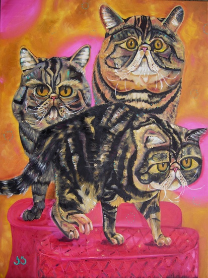 Cattery